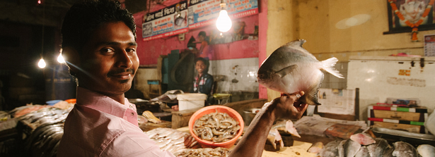 GCP3 Integrated Project - Fish for food security in city regions of India and Ghana