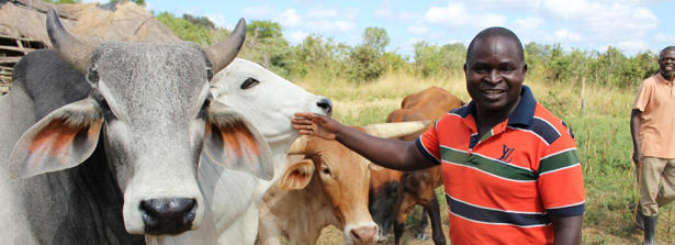 GCP-4 Understanding and scaling Organizations for SMAllholder REsilience