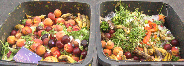 F&BKP Report “Reducing food wastage, improving food security?”