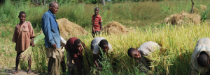 Dealing strategically with Land Issues