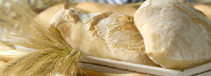AgriFood Top 2014