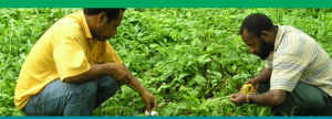 Ethics, Efficiency and Food Security: Feeding The 9 Billion, Well