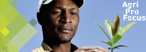 Making current approaches work for sustainable agriculture