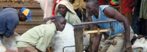 Course: "Organized farmers as partners in agribusiness"
