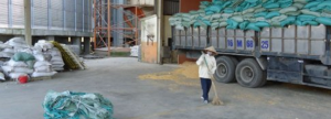 Course: "Local Economic Development"