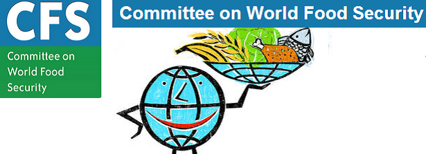 Committee on World Food Security Plenary Session
