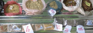 Course: "Plant genetic resources and seeds"