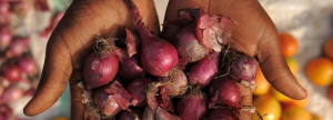 Second International Conference on Nutrition