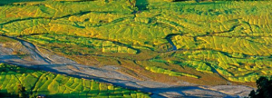 Food Security: Mapping Risks, Building Resilience