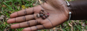 Food and Nutrition Security, Agriculture and Climate Change