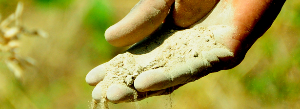 Expert team has started Soil Fertility Exploratory study