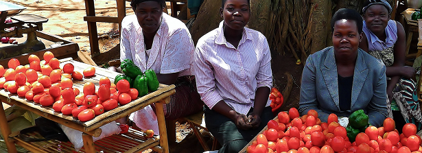 Green Revolution Forum considers Africa’s food future