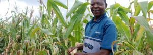 Bioversity International and Wageningen UR