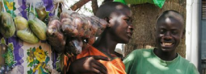 Vijverbergsession "From smallholders to entrepreneurs"
