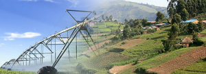 MOOC: Growing our Future Food: Crops