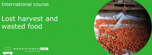 International course - Lost harvest and wasted food