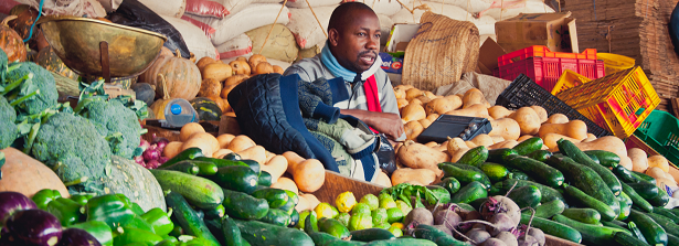 ARF1.2-4 Indigenous African vegetable systems for better livelihoods