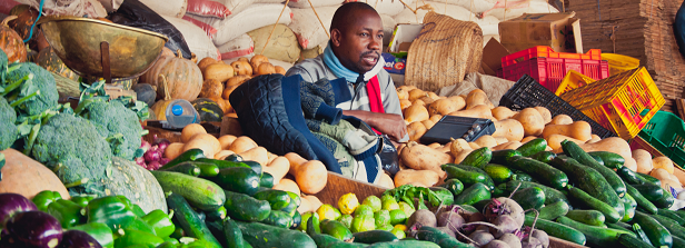 African Indigenous Vegetable systems for better livelihoods in Kenya