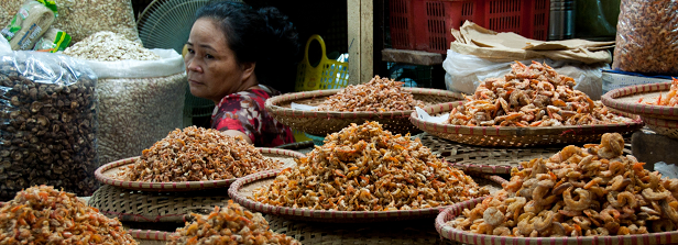 Serious games for sustainable shrimp farming in Viet Nam (ALEGAMS)
