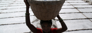 Live Q&A: What's the cheapest way to improve nutrition for the most people?