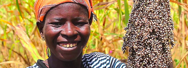 West Africa Farmer Innovation Fair