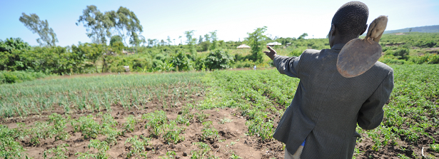 Masterclass land governance