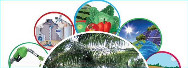ICSAFEI2015 - Conference on sustainable agriculture
