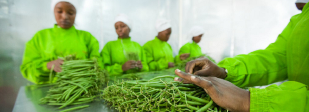 Achieving Food Security in Africa South of the Sahara Through Food Value Chains