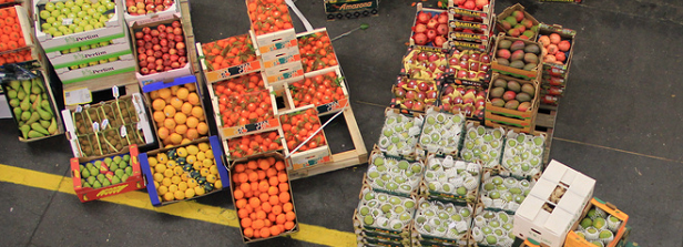 Agrofood supply chain efficiency for food and nutrition security