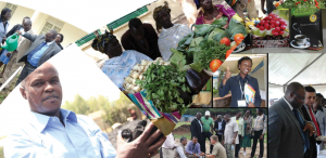 African Agribusiness Incubation Conference and Expo