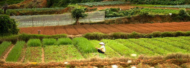 Inclusive Agribusiness Southeast Asia Roundtable (by invitation only)