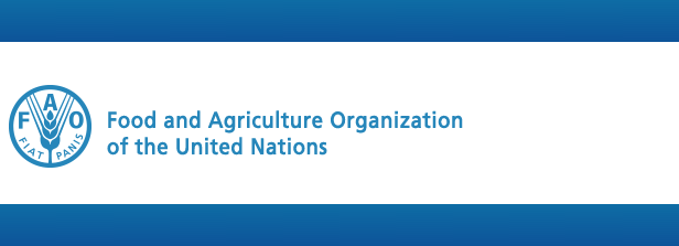 FAO e-conference: ‘Utilization of Food Loss and Waste as well as Non-Food Parts as Livestock Feed’