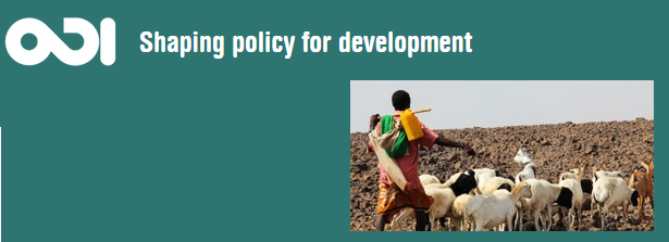 Pastoralism: past perspectives and future policy