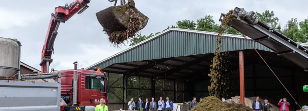 Potato takes precedence over combating subsidence