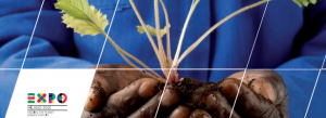 Agribusiness investments in partnership with farmers' organisations in ACP countries