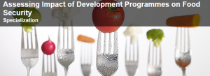 Assessing Impact of Development Programmes on Food Security