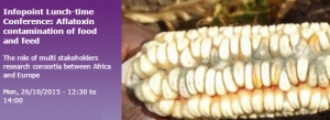 Infopoint Lunch-time Conference: Aflaxotin contamination of food and feed