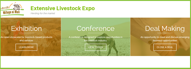 Extensive Livestock Expo - Herding for the market