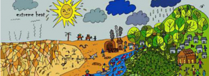 Managing the climate-water-forest nexus for sustainable development