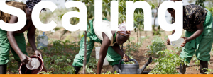 Scaling Social Business in East Africa - Symposium 2015