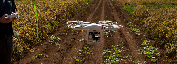 Precision fertilizing using drones and scanners