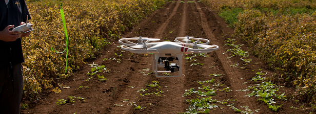 Precision fertilizing using drones and scanners