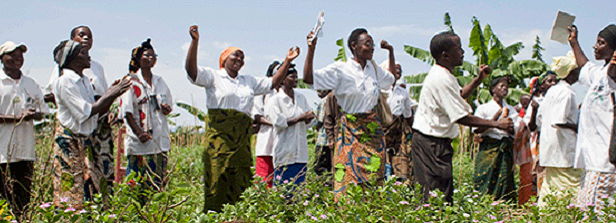 Webinar: the role of rural organizations in social protection
