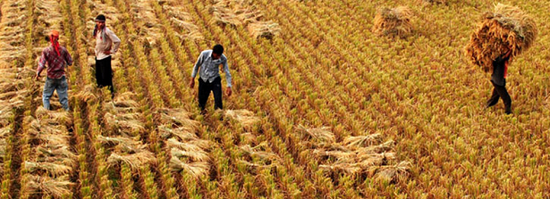 Amsterdam Initiative against Malnutrition (AIM)