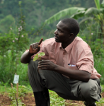 Strengthening agribusiness Ethics, Quality Standards & ICT usage in Uganda's value chains