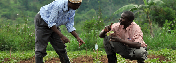 Strengthening agribusiness Ethics, Quality Standards & ICT usage in Uganda's value chains? (AGRI-QUEST)
