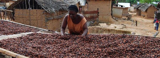 Access to finance: Information transparency system cocoa farmers in Ghana