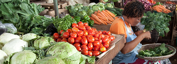 Women Food Entrepreneurs in Kenya and Burkina Faso - WFE