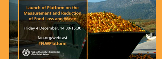 Launch of Platform on the Measurement and Reduction of Food Loss and Waste