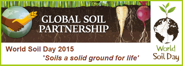 World Soil Day 2015 - Soils a solid ground for life